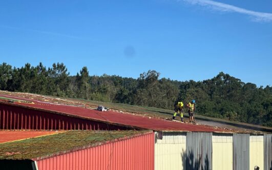 Obras en el Casino Mercantil de Mourente